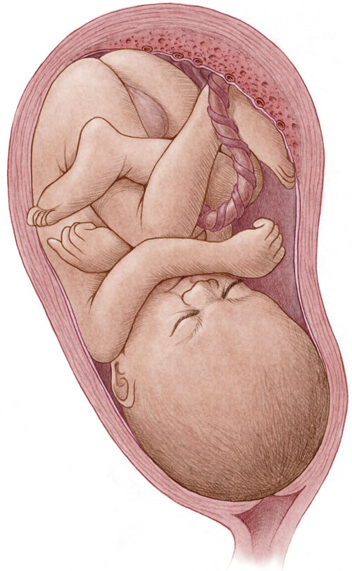 Postdates Science: Related Factors