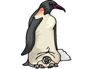 PLAATJES PINGUINS | PLAATJE CLIPART CLIPARTS AFBEELDING ...
