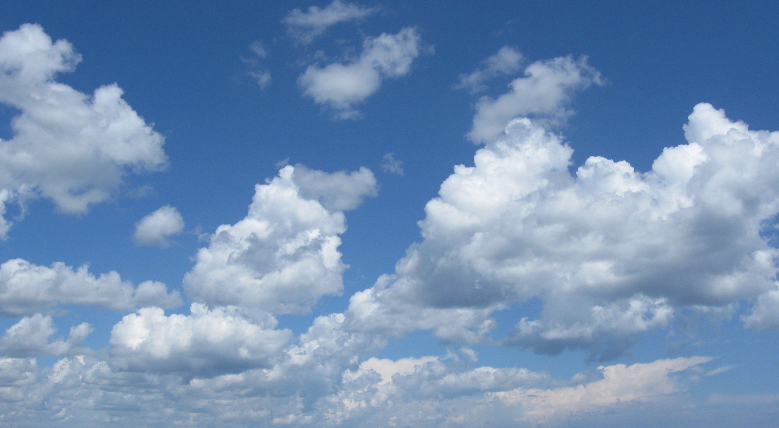 Cloud Wars: Who Will Be King of the Cloud? - Digital Relativity ...