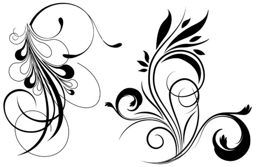 Floral Vector Design Download Hd Wallpapers 1024x668PX ~ Floral ...