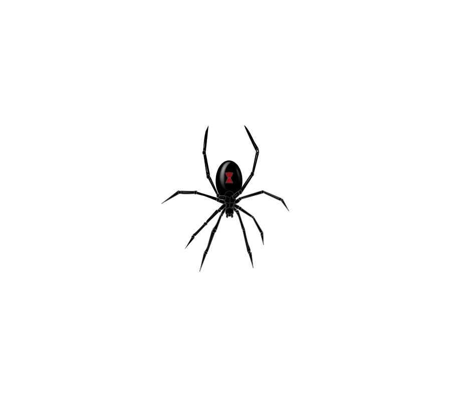 Black Widow Spider large 900pixel clipart, Black Widow Spider ...