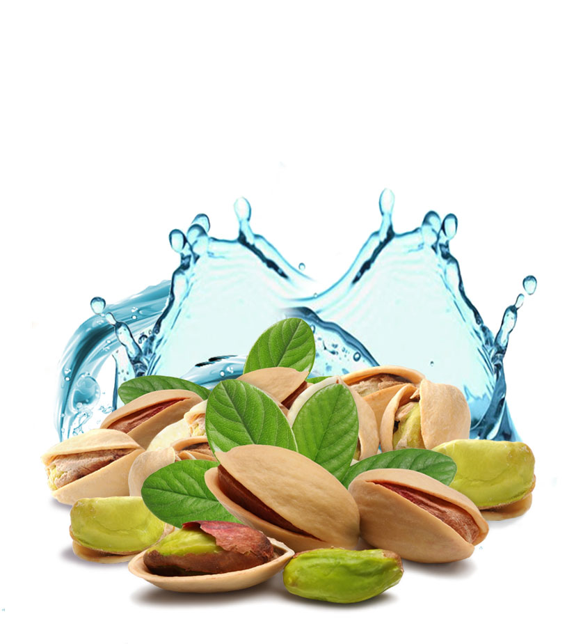 pistachio milk | GreenSurge
