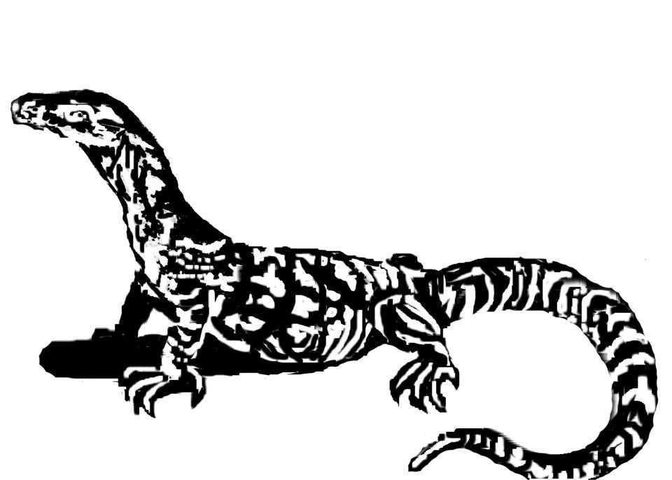 Goanna Colouring Pages (page 3)