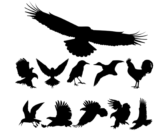 Birds Silhouettes free vector