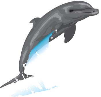Dolphin Free Vector / 4Vector