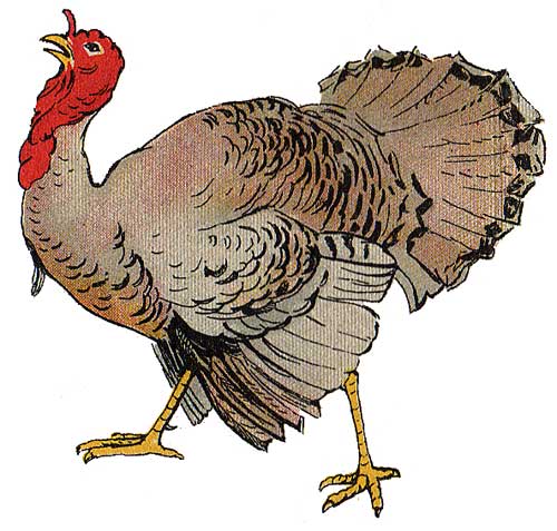 Turkey Clipart Turkey Clipart – Art Design and Craft