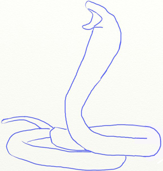 How to Draw a King Cobra Snake - Draw Step by Step
