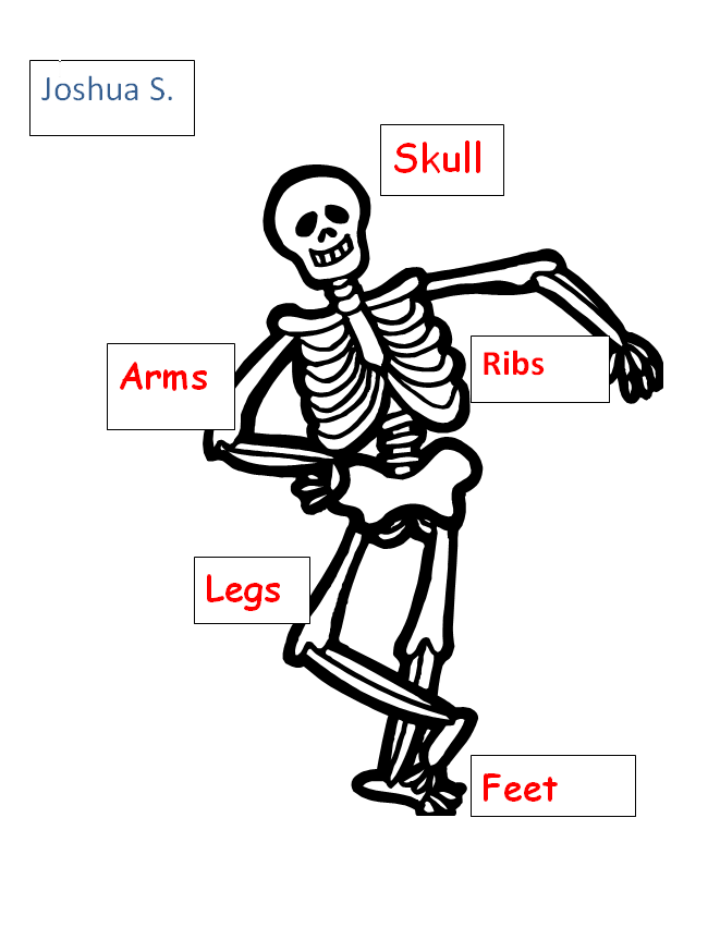 Simple label the skeleton bones | All about the body school ...