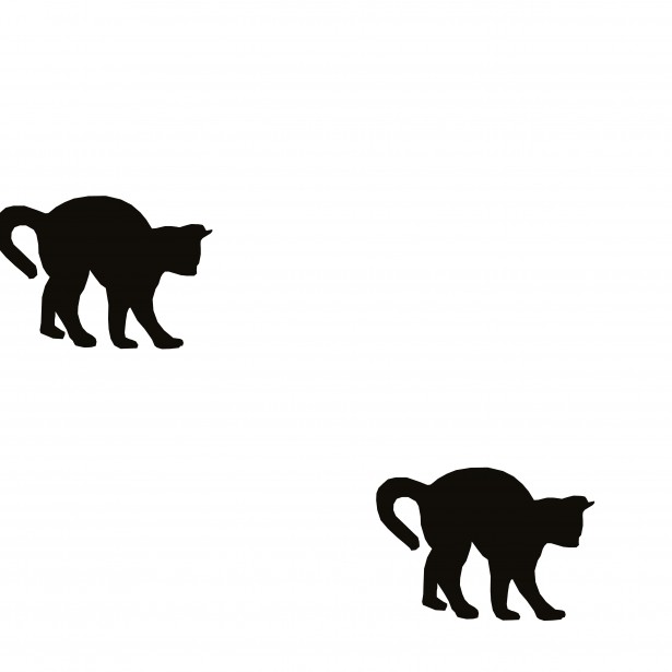 Two Black Cats Free Stock Photo - Public Domain Pictures