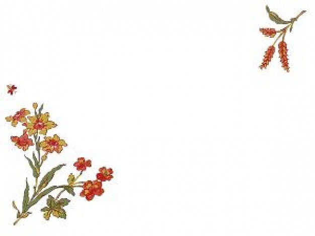 May Flowers Border images & pictures - NearPics