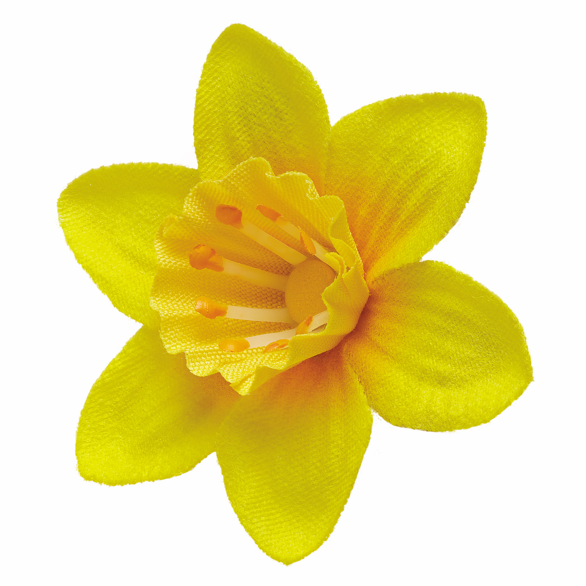 Great Daffodil Appeal pin | Marie Curie