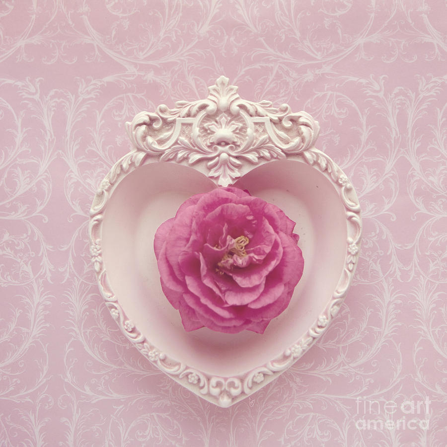 Pink Heart - Pink Camellia by Cindy Garber Iverson