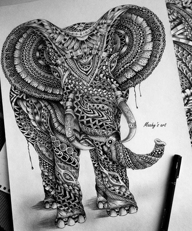 elephant pencil drawing by maahy | Image
