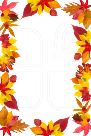 fall-leaves-border-clip-art- ...