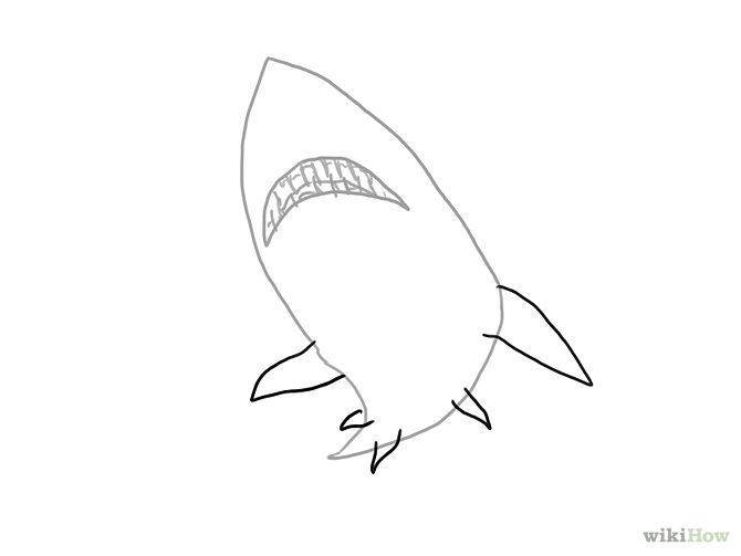 4 Ways to Draw a Shark - wikiHow