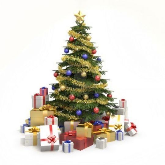 Kenapa Pohon Cemara sebagai Lambang Natal? Yuk Cek Sejarahnya ...