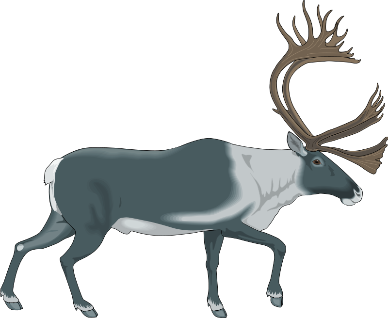 Animal 7 Free Vector / 4Vector