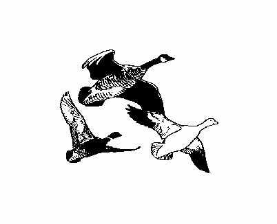 Geese Clipart - ClipArt Best