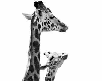 Popular items for mother giraffe on Etsy