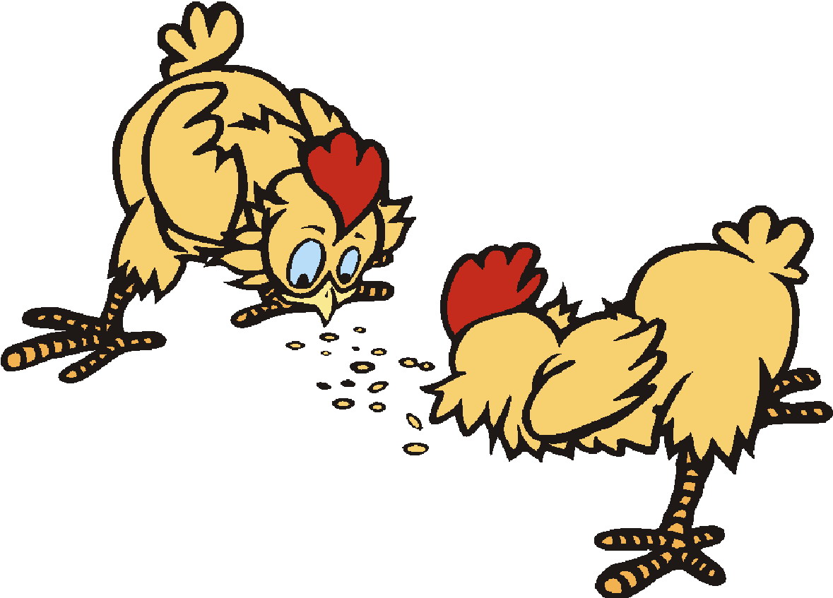 Курицы бьют курицу. Курица клюет зерно. Клюющие курочки. Цыпленок клюет зернышки. Курица рисунок.