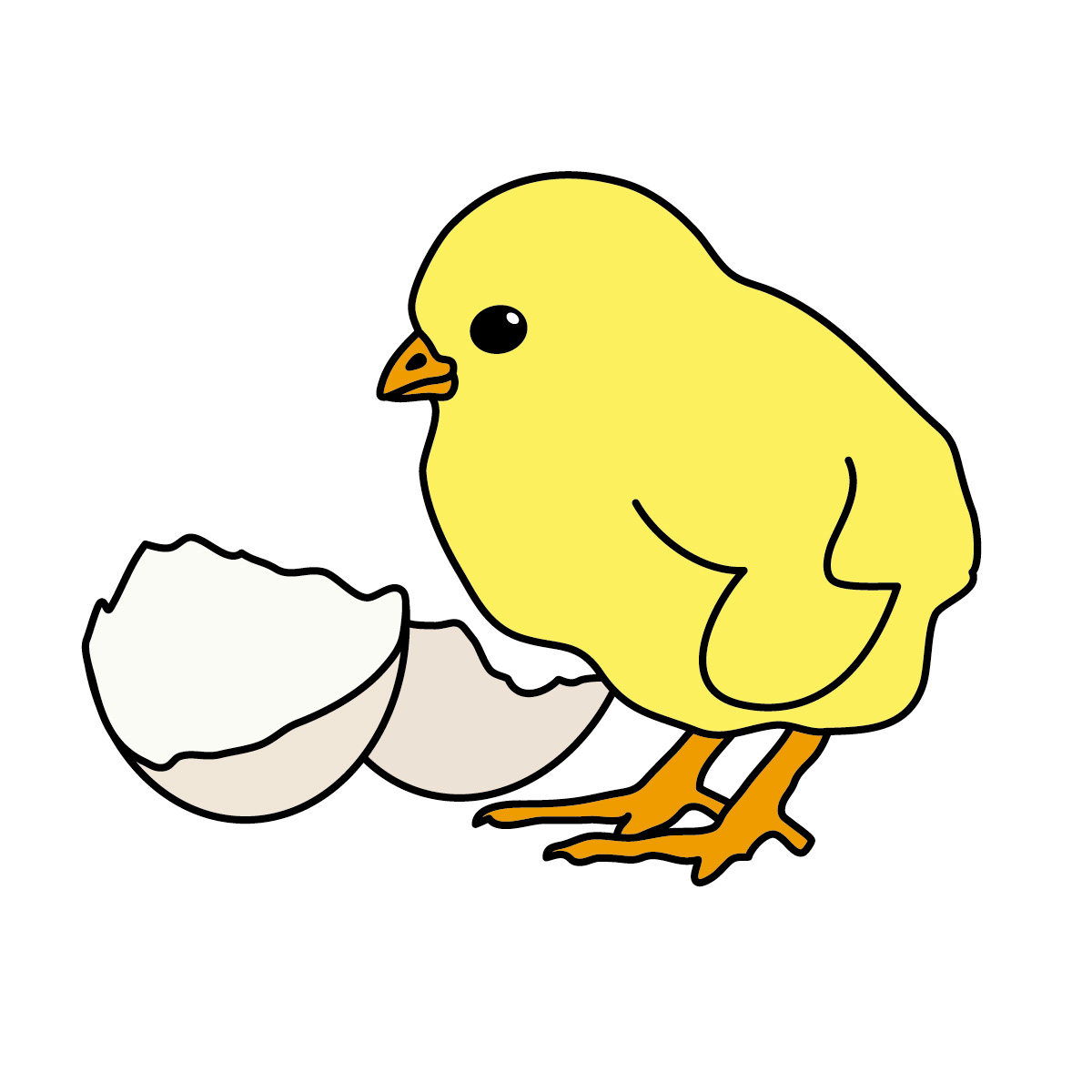 Images For > Free Chick Clipart
