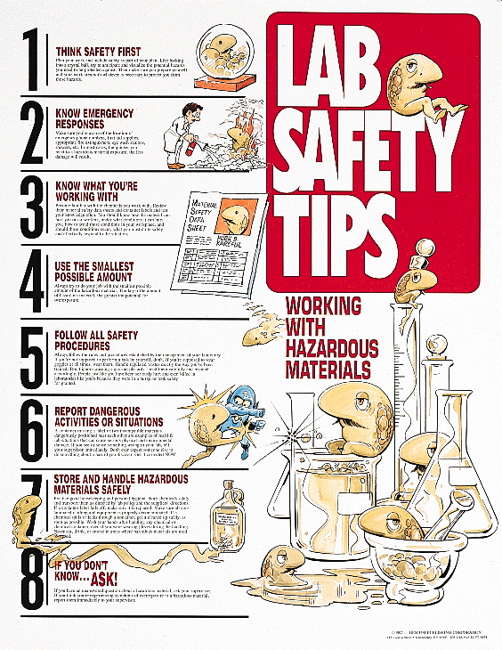 Blendspace | Safety, Scientific Method And Measurement