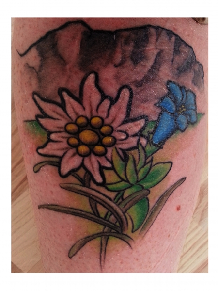 Gallery For > Edelweiss Tattoo Design