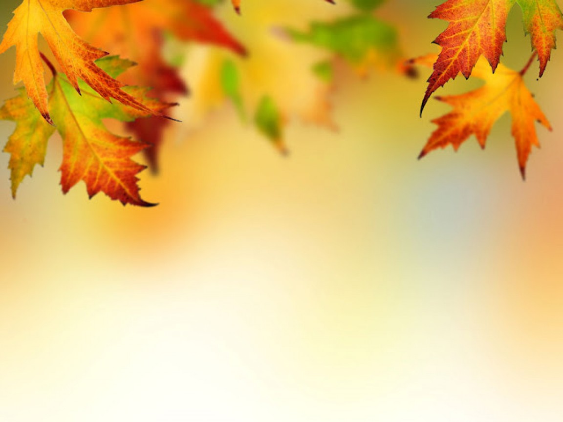 Fall Leaf Border - wallpaper.