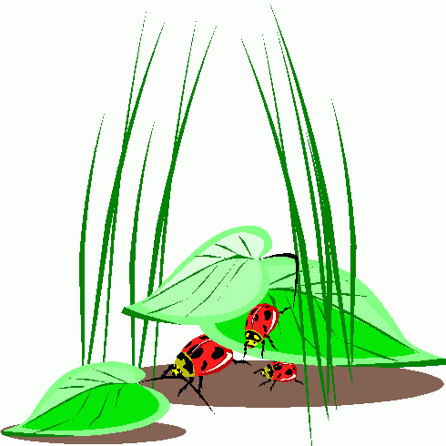 Ladybugs Clip Art - ClipArt Best