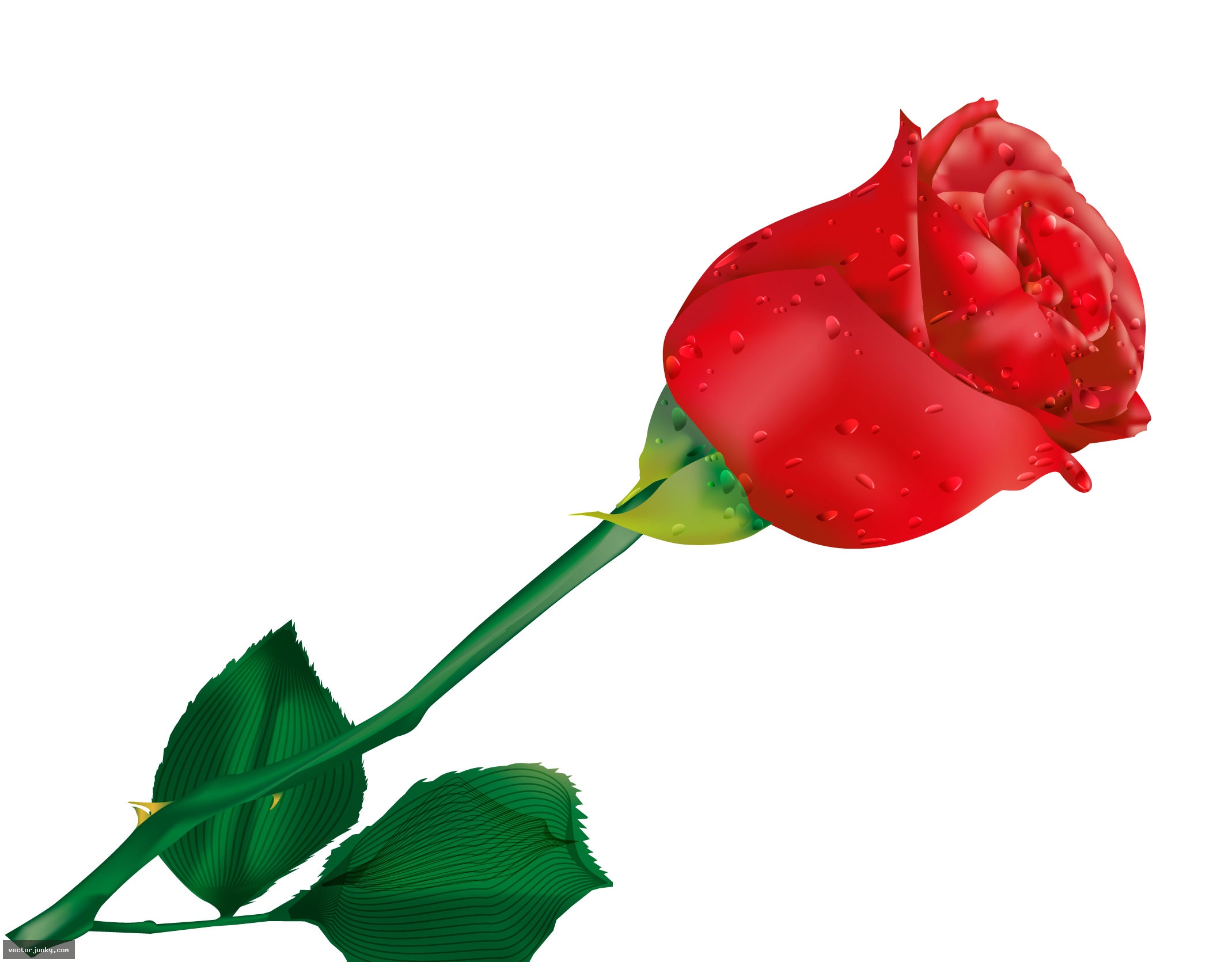 Red Rose Image With Thorns And Long Stem Clipart - Free Clip Art ...