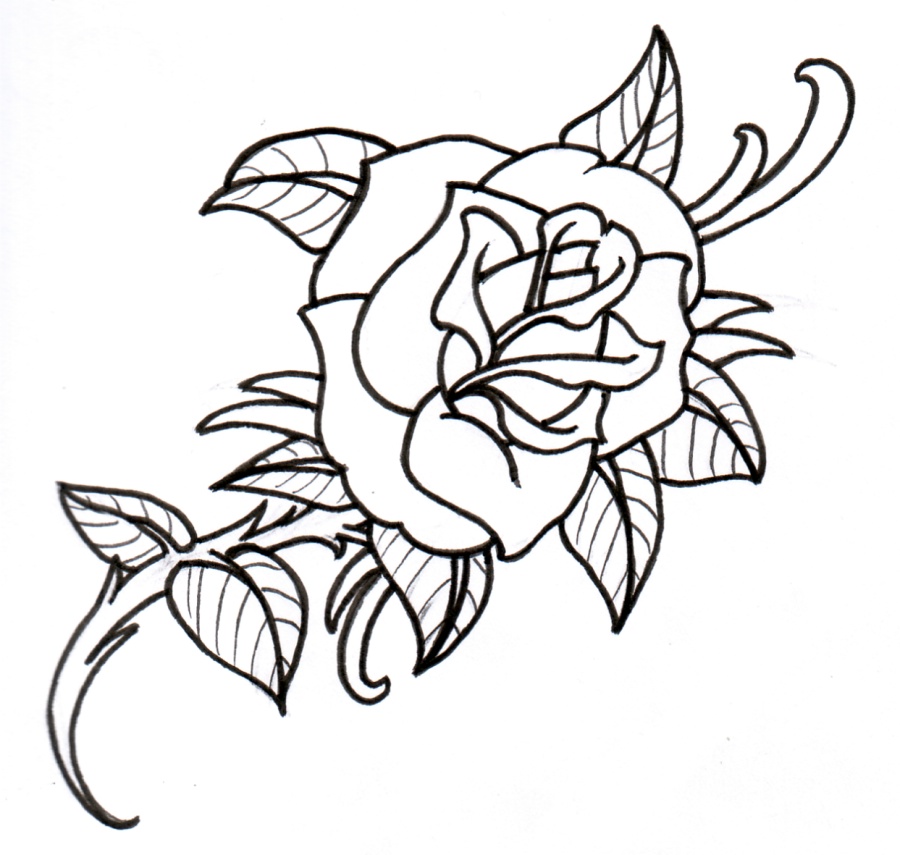Rose Outline Drawings - ClipArt Best