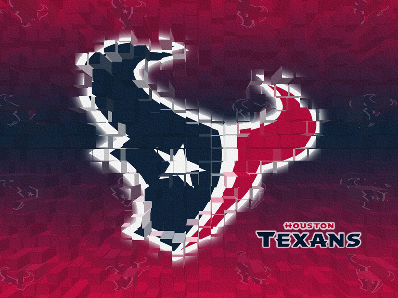 Houston Texans Logo wallpaper