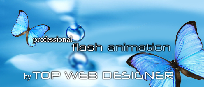 Long Island Flash Animation - Long Island Flash Web Site ...