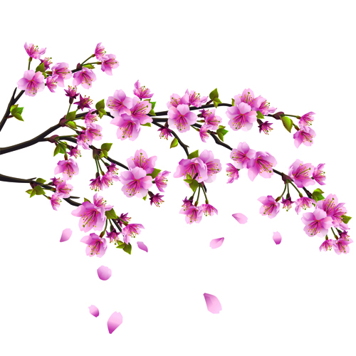 Japan Cherry Blossoms free vector 03 - Vector Flower free download