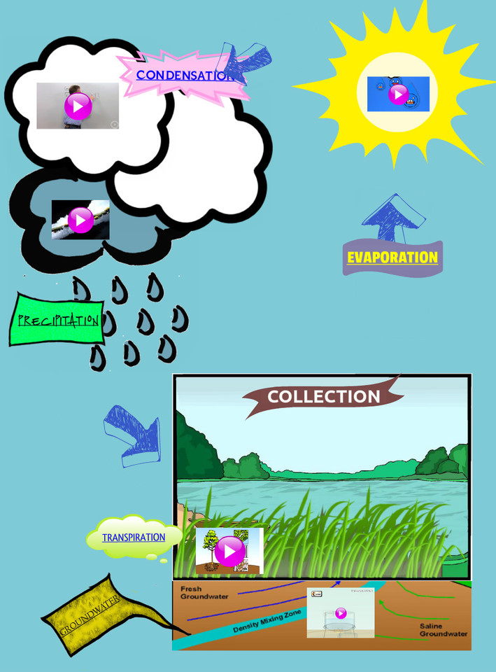 Water Cycle Guide | Publish with Glogster!