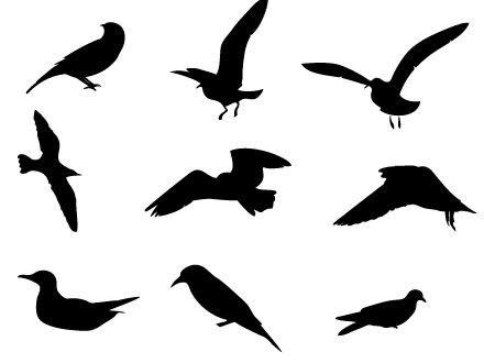 Bird Silhouette Vector - ClipArt Best