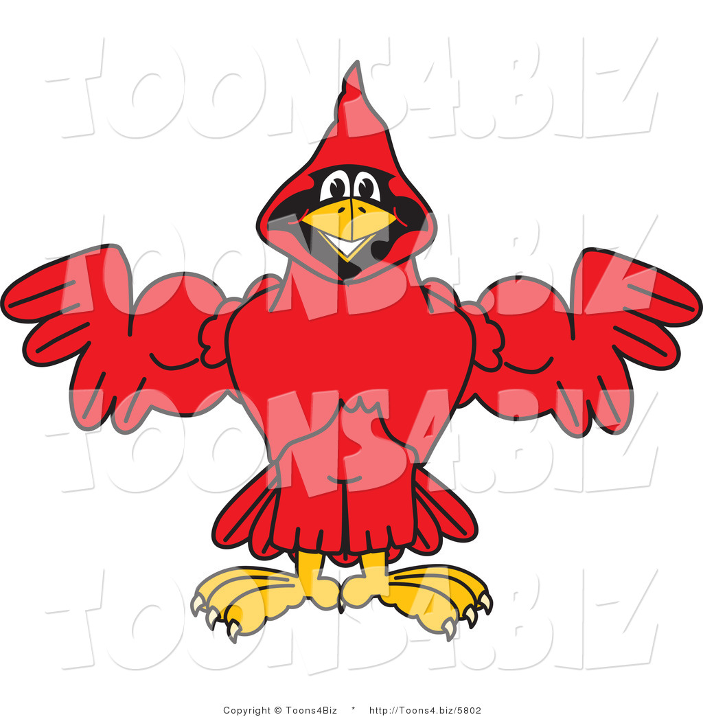 Vector Illustration of a Cartoon Cardinal Mascot Flexing by ...