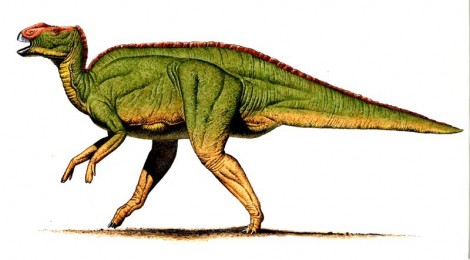 Dinosaurusi.com - The Biggest Collection Of Dinosaur Pictures ...