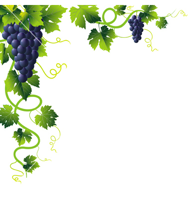 Grapes Vine Clip Art Vector Free For Download - ClipArt Best ...