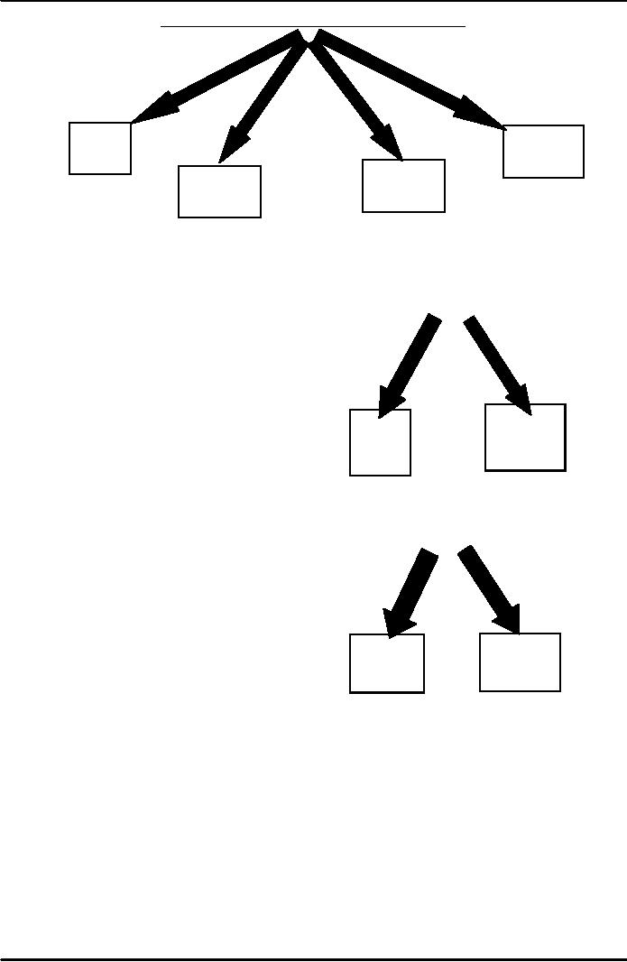 OPERANT CONDITIONING:Negative Rein forcer Punishment No ...