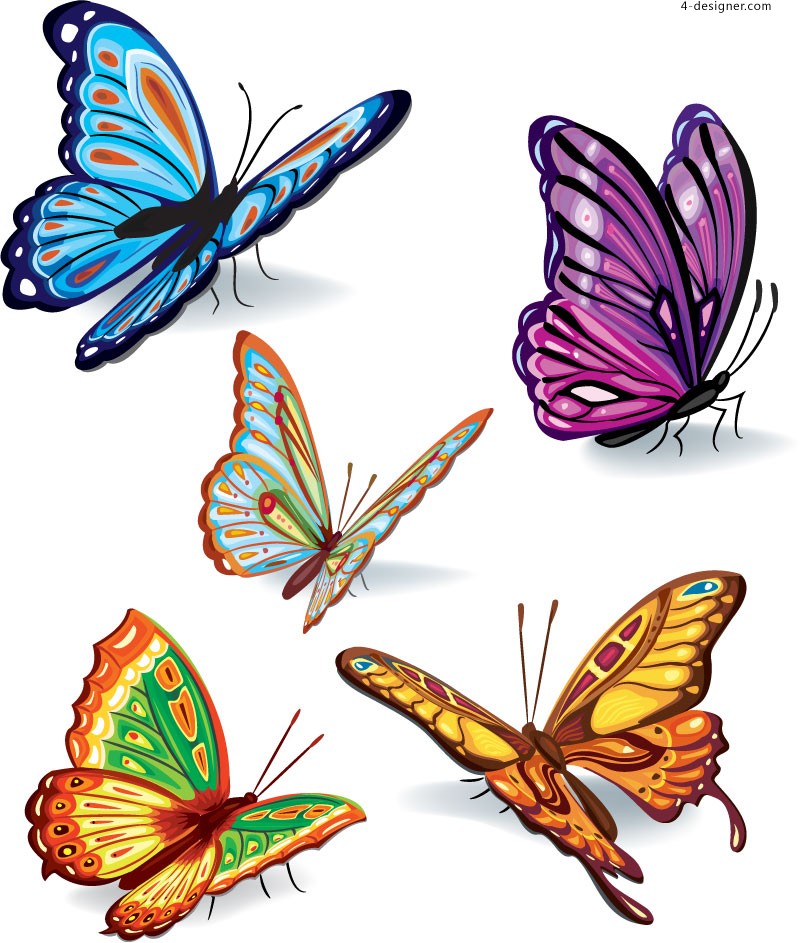 4-Designer | Realistic butterfly vector material