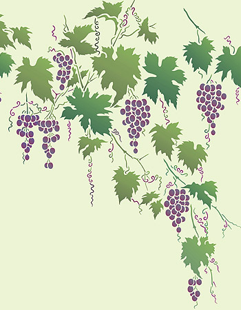 Large Grapevine Stencil Vine Stencils Grape Stencils