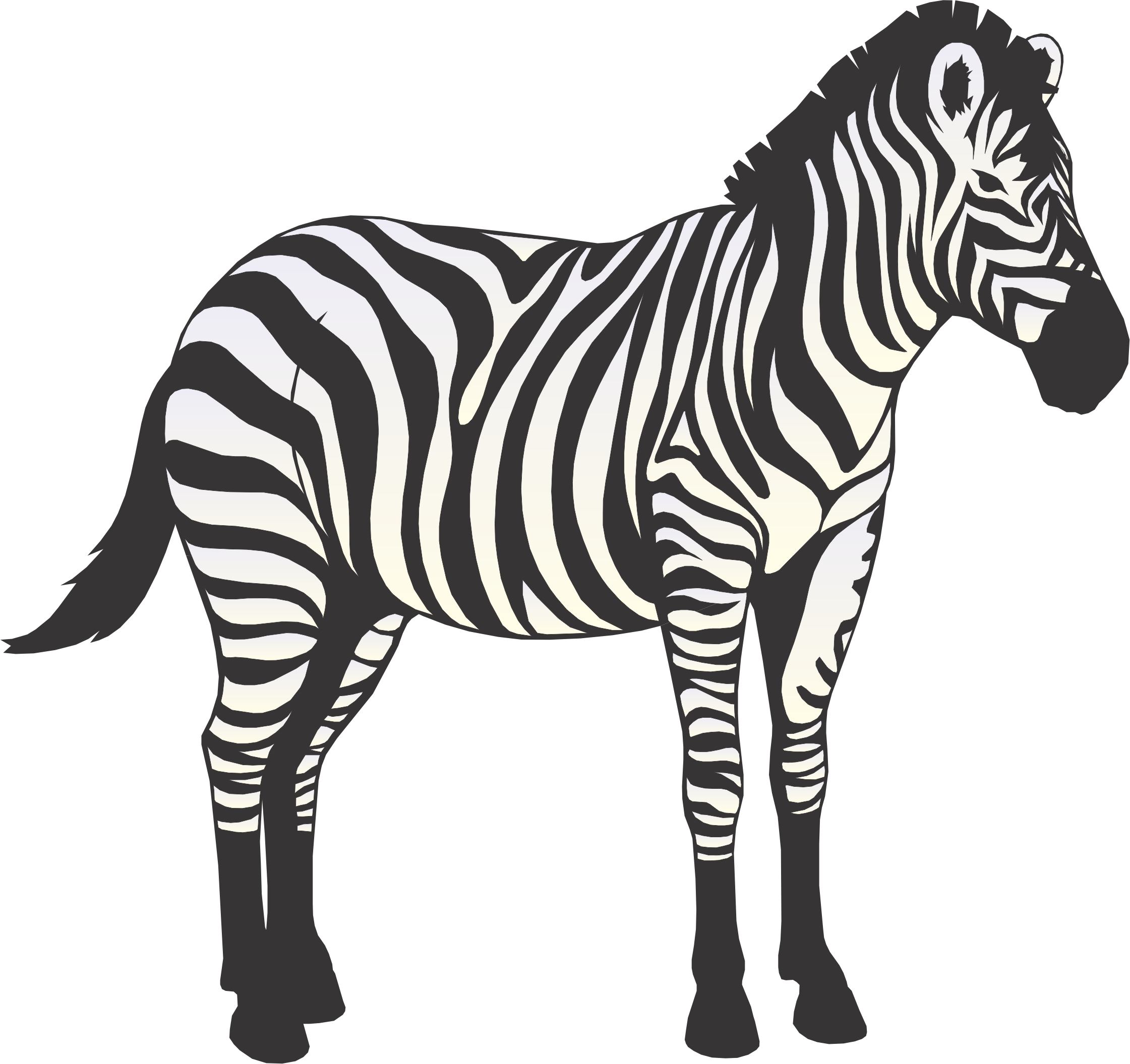Zebra Cartoon Black And White - Gallery