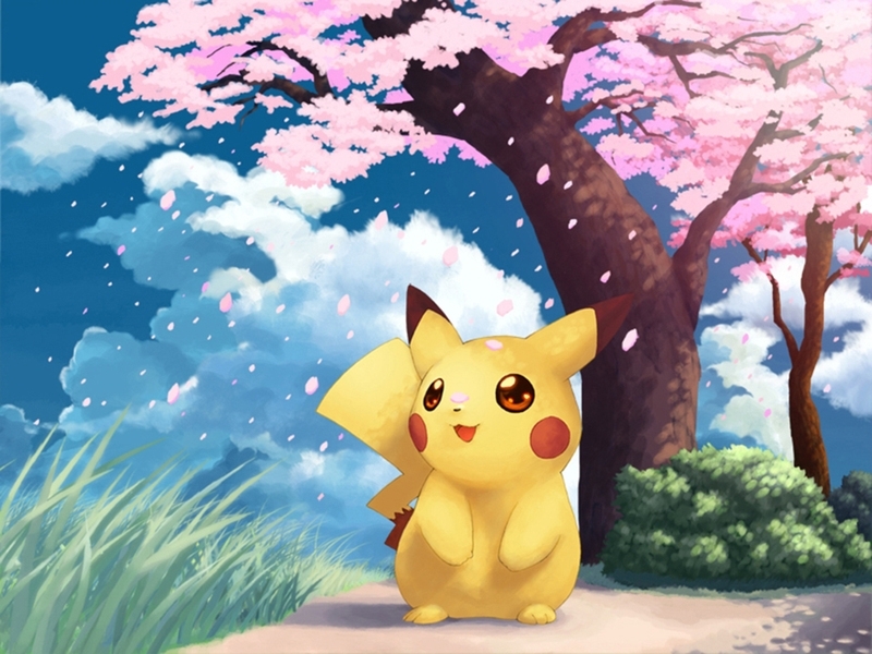 Pikachu and Cherry Blossoms - Pikachu Wallpaper (14961318) - Fanpop