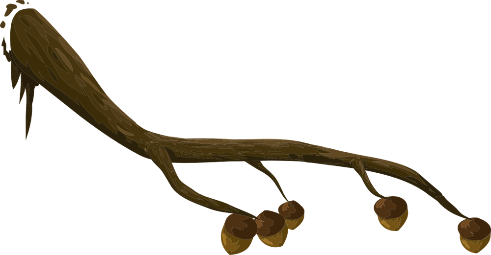 Free to Use & Public Domain Plants Clip Art - Page 8