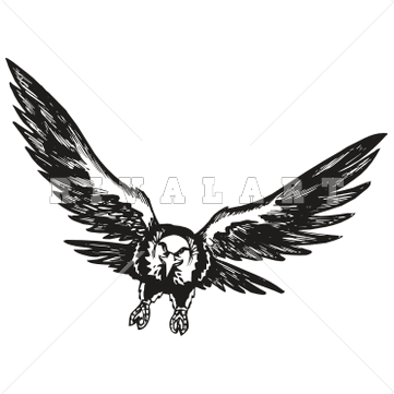 Soaring Eagle Clipart | Clipart Panda - Free Clipart Images