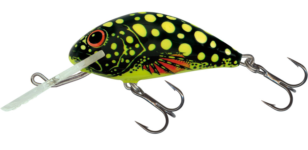 Hornet - Salmo