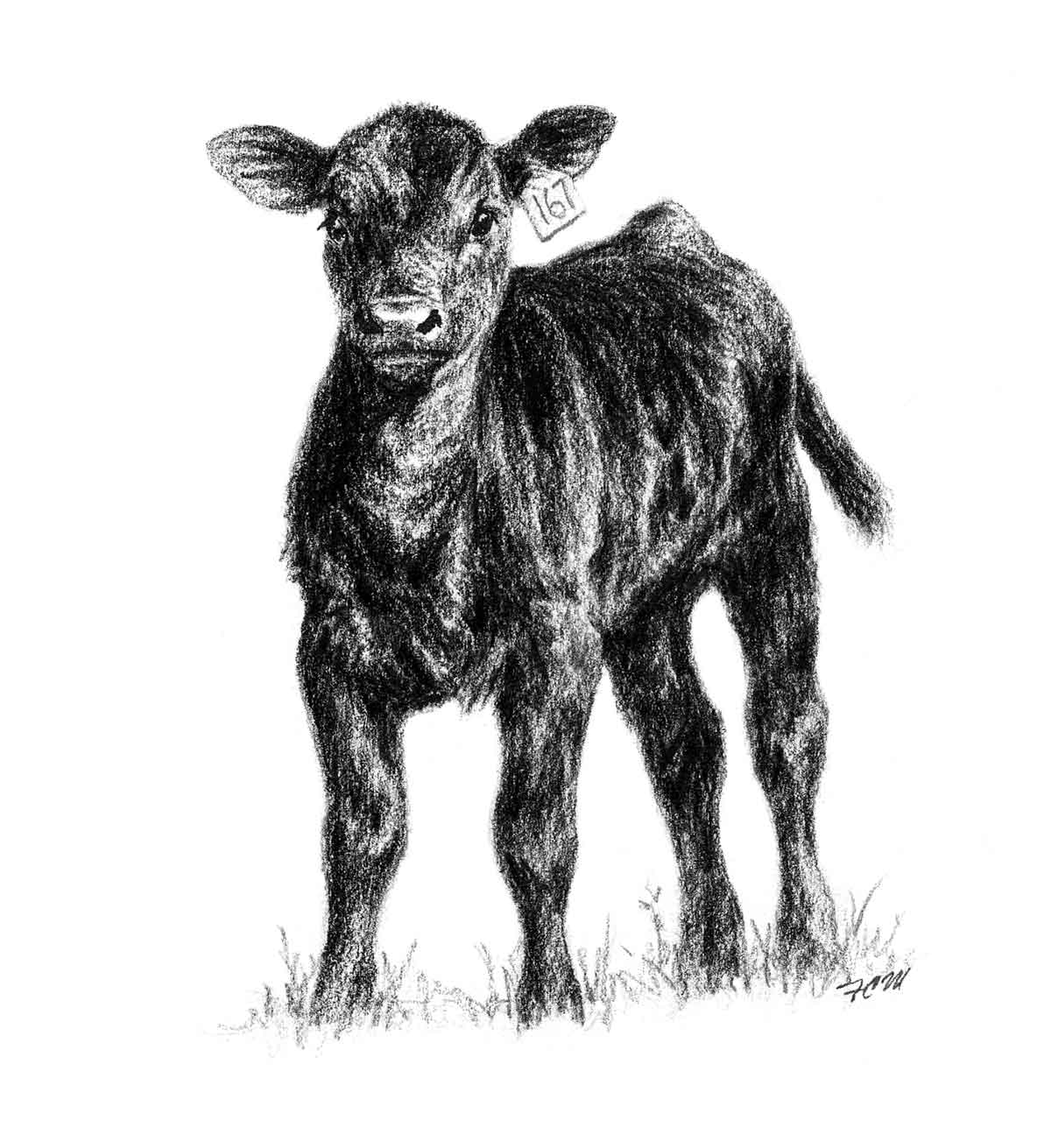 American Angus Association - Angus Screen Savers and Clip Art