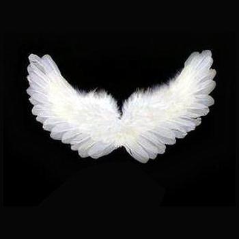 polls_Feather_Angel_Wings_0338 ...