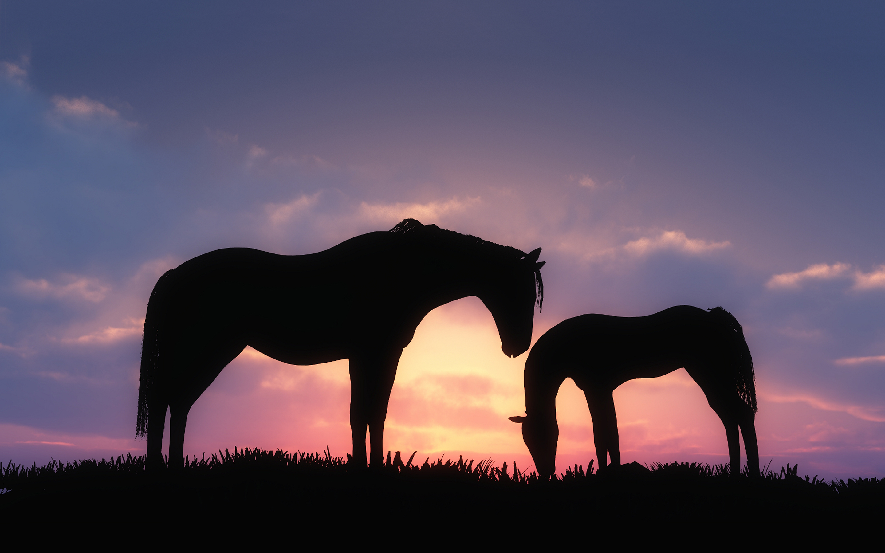 Horses sunset silhouette #6994688